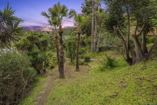 , 6430 La Jolla Scenic Dr S, La Jolla, CA 92037 - 10