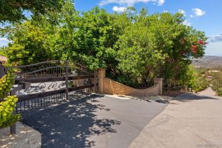 Single Family Residence, 17216 La Brisa, Rancho Santa Fe, CA 92067 - 24