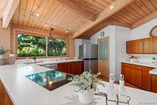 Single Family Residence, 17216 La Brisa, Rancho Santa Fe, CA 92067 - 5