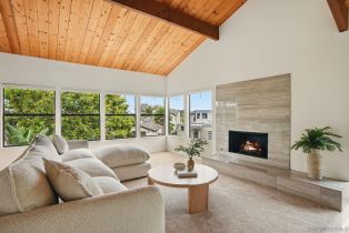 Single Family Residence, 13883 Recuerdo dr, Del Mar, CA 92014 - 7