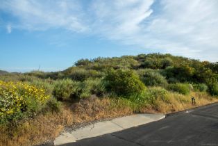 , 18035 Sunset Point rd, Poway, CA 92064 - 38