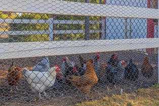 Single Family Residence, 31113 North Star way, Valley Center, CA 92082 - 47