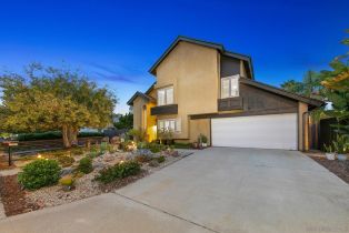 Single Family Residence, 1554 Traveld way, Encinitas, CA 92024 - 51
