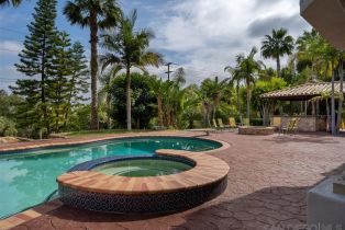 , 7302 Vista Rancho ct, Rancho Santa Fe, CA 92067 - 19