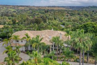 , 7302 Vista Rancho ct, Rancho Santa Fe, CA 92067 - 3