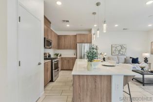 Condominium, 35103 Vine pl, Fallbrook, CA 92028 - 5