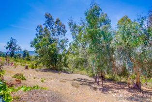 Single Family Residence, 14258 Arbolitos dr, Poway, CA 92064 - 58