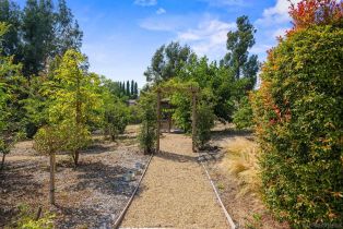 Single Family Residence, 16434 La Via Feliz, Rancho Santa Fe, CA 92067 - 54