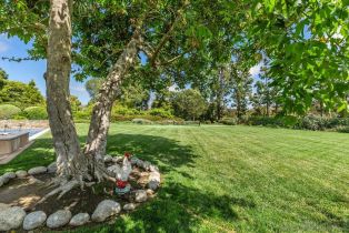 Single Family Residence, 6351 Lago Lindo, Rancho Santa Fe, CA 92067 - 3