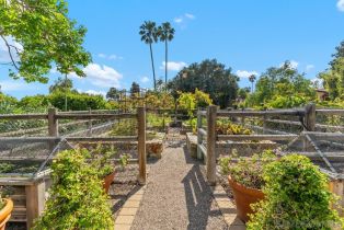 Single Family Residence, 6351 Lago Lindo, Rancho Santa Fe, CA 92067 - 5