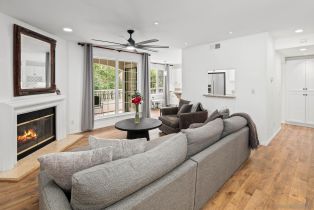 Condominium, 2842 Torrey Pines rd, La Jolla, CA 92037 - 3