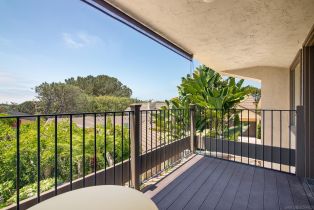 , 2452 Azure Coast dr, La Jolla, CA 92037 - 16