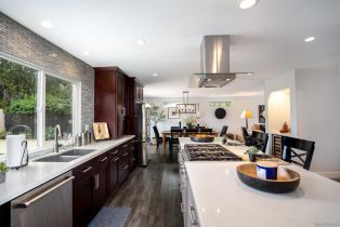 Single Family Residence, 13349 Portofino dr, Del Mar, CA 92014 - 15