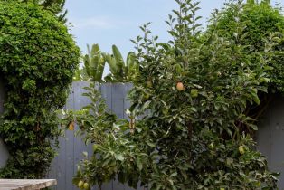 Single Family Residence, 1004 California st, Oceanside, CA 92054 - 20