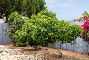 Single Family Residence, 1004 California st, Oceanside, CA 92054 - 21