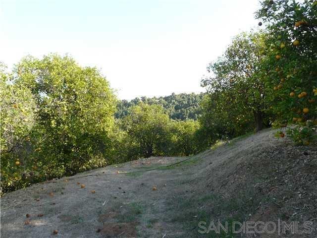 , 0 Pauma Heights dr, Valley Center, CA 92082 - 1