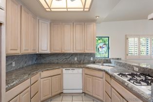 , 1145 La Jolla Rancho rd, La Jolla, CA 92037 - 11