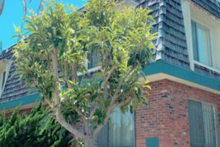 , 944 6TH st, Santa Monica, CA 90403 - 2