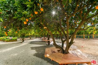 Single Family Residence, 828 Fordyce Rd & 2561 Grand ave, Ojai, CA 93023 - 15