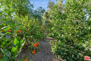 , 17035 Oak View dr, Encino, CA 91436 - 17