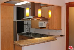 Residential Income, 1033 Martel ave, West Hollywood , CA 90046 - 25