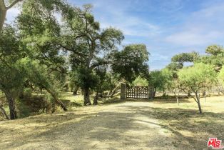 Single Family Residence, 28980 Newton Canyon rd, Malibu, CA 90265 - 15