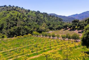 Single Family Residence, 28980 Newton Canyon rd, Malibu, CA 90265 - 6