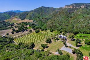 Single Family Residence, 28980   Newton Canyon Rd, Malibu, CA  Malibu, CA 90265