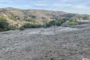 , 2807 Foose, Malibu, CA 90265 - 5