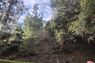 , 2425 Dellwood ln, Bel Air, CA 90077 - 6