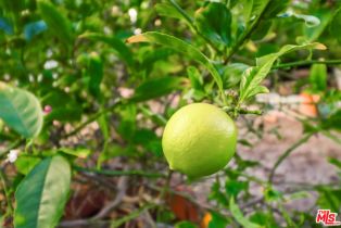 Single Family Residence, 768 Aileen st, Camarillo, CA 93010 - 25