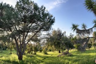 Single Family Residence, 1731 Fuerte st, Fallbrook, CA 92028 - 10