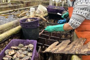 Single Family Residence, 1 Beach rd, Santa Barbara, CA 93117 - 35