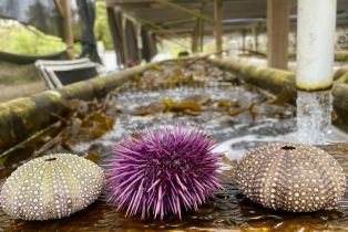 Single Family Residence, 1 Beach rd, Santa Barbara, CA 93117 - 36