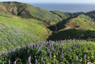 , 3900 Latigo Canyon rd, Malibu, CA 90265 - 4