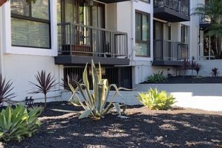 Apartment, 1351 Crescent Heights blvd, West Hollywood , CA 90046 - 15