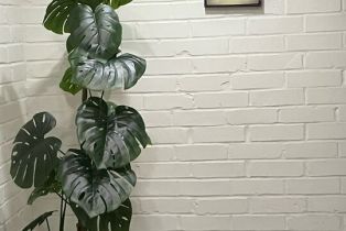 Condominium, 1440 Veteran ave, Westwood, CA 90024 - 15