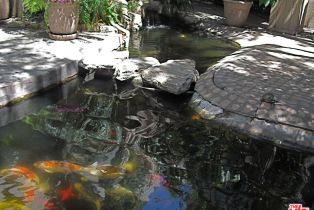 Condominium, 1440 Veteran ave, Westwood, CA 90024 - 19