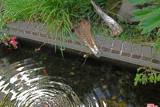 Condominium, 1440 Veteran ave, Westwood, CA 90024 - 6