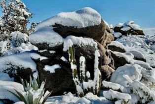 Single Family Residence, 60150 Santa Rosa rd, Mountain Center, CA 92561 - 71