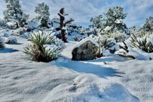 Single Family Residence, 60150 Santa Rosa rd, Mountain Center, CA 92561 - 61