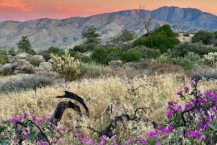 Single Family Residence, 60150 Santa Rosa rd, Mountain Center, CA 92561 - 75