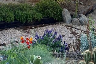 Single Family Residence, 60150 Santa Rosa rd, Mountain Center, CA 92561 - 5