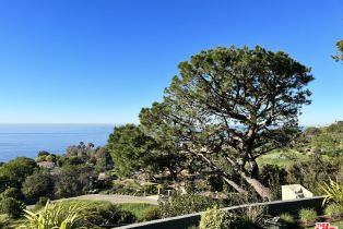 , 22105 Carbon Mesa rd, Malibu, CA 90265 - 10