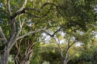 Single Family Residence, 4450 Via Alegre, Santa Barbara, CA 93110 - 31