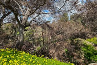 , 543 Radcliffe ave, Pacific Palisades, CA 90272 - 4