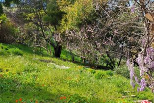 , 919 Rivas Canyon rd, Pacific Palisades, CA 90272 - 5