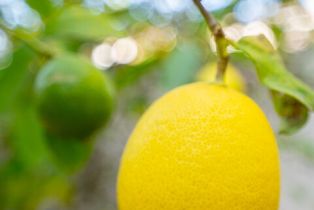 Single Family Residence, 1634 Salt River Ave ave, Ventura, CA 93004 - 35