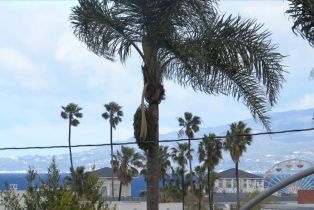 Condominium, 2311 4th st, Santa Monica, CA 90405 - 31