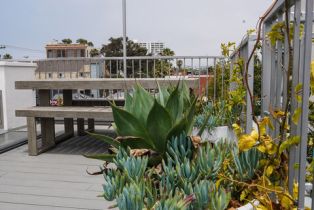 Single Family Residence, 114 Pacific ave, Venice, CA 90291 - 53